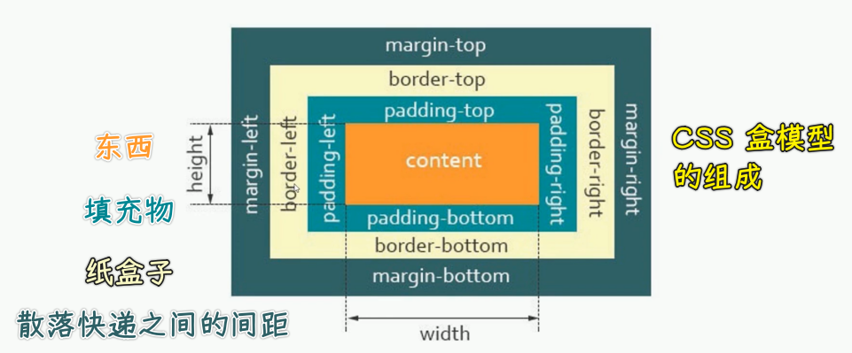 盒子模型