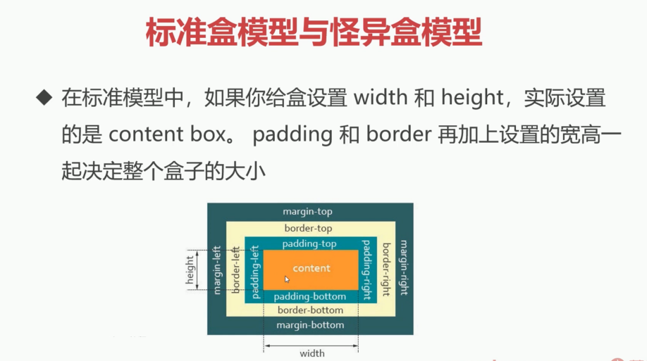 标准盒模型