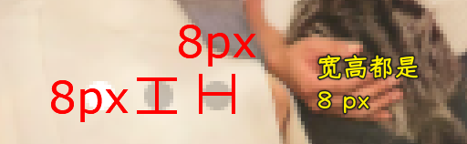 8 px