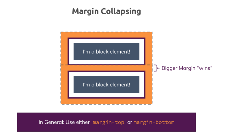 margin collapsing