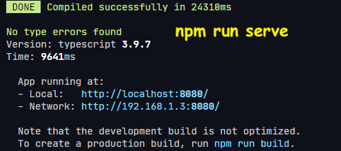 npm run serve