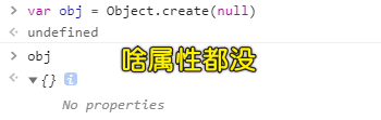 纯粹的对象