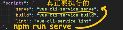 脚本执行
