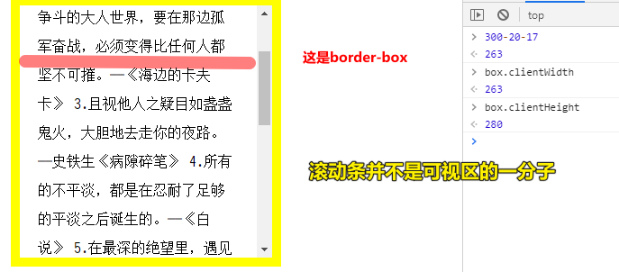 border-box